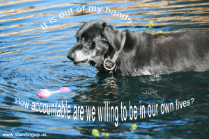 How Accountable are We Willing to be in Our Own Lives?